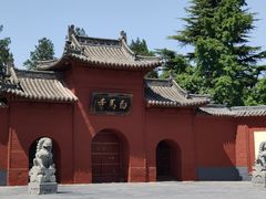 -洛阳白马寺