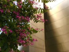 -华特·迪士尼音乐厅