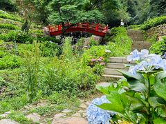 -鼓岭旅游度假区