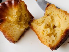 卡娜蕾-Madeleine玛德琳(永平里店)