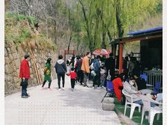-王顺山国家森林公园