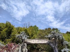 -王顺山国家森林公园