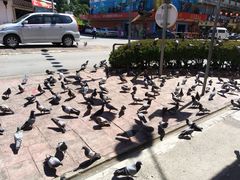 -金兴利茶室(新苏兰店)