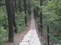 -四明山国家森林公园