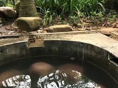 -三亚珠江南田温泉度假区