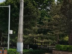 -大兴滨河森林公园