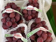 -马陆小张葡萄园农家乐