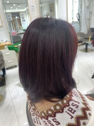 -镁连社·美联社