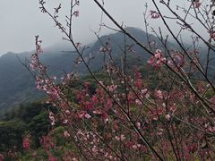 -福清灵石山国家森林公园