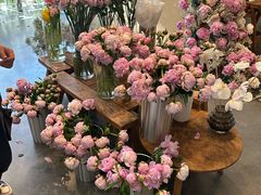 -dotcom coffee古点咖啡(致真大厦店)