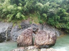 -广州白江湖森林公园