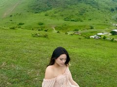 -大姆山草场