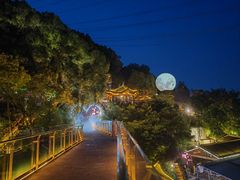 -巴倒烫陆派火锅山庄(南山总店)