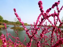 -东郊湿地公园