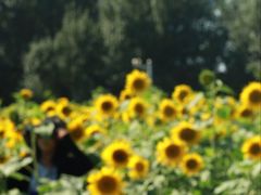 -长春公园(普阳街道)