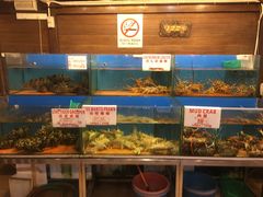 -真浪花园海鲜餐馆