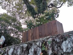 -南溪山景区