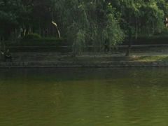 -金砂公园