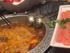 -杨肥肠小火锅(跃进路店)