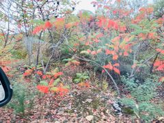 -辛安庄鸡鸣山景区