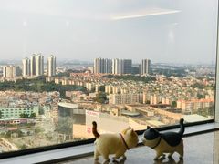 -麦茜哥牛扒城(中银店)