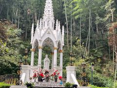 -上海佘山国家森林公园西佘山园