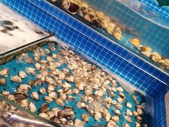 水产区-乔哥铭洋海鲜自助(皇城恒隆广场店)