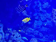 -波塞冬旅游度假区