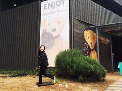 -济州岛泰迪熊博物馆