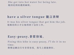 -引领英语·成人口语·雅思托福