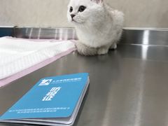 -宠颐生东兴动物医院(大悦城店)