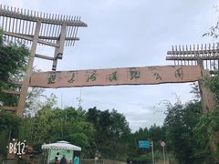 -桤木河湿地公园