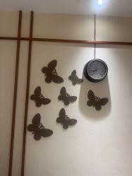 点击看大图 -芳朵美容养生SPA