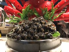 -五月罗马海鲜自助餐厅(陆家嘴店)