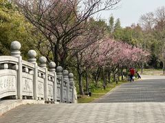 -上海海湾国家森林公园