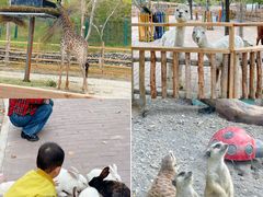 -水上乐园·欢乐世界