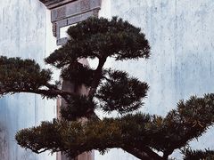 -广富林郊野公园