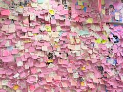 -雨霖祥和炖肉(南市店)