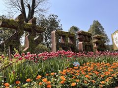 -铁山坪森林公园