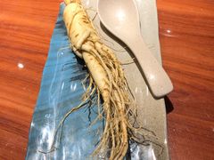 -千岛蚝高压锅生蚝·人参火锅(白云万达店)