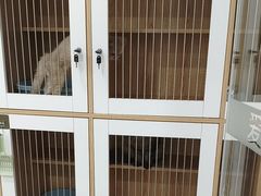 -爱洗澡的猫(天河路店)
