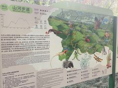 -马峦山郊野公园