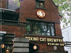 -Boxing Cat Brewery拳击猫精酿啤酒馆(永福店)