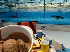 -帝企鹅自助餐厅•儿童岛•真企鹅(长隆企鹅酒店)