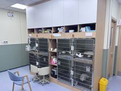 -爱佳宠物中心医院24H·CT·骨外科·猫专科(瑶海万达店)