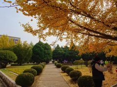 -辽宁大学(崇山校区)
