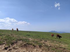 -灵山