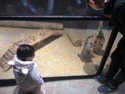 -酷嗒动物文化乐园(cutezoo西溪乐天城店)