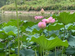 -滇釜火锅·能喝汤的火锅(车公庄店)