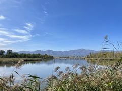 -野鸭湖国家湿地公园